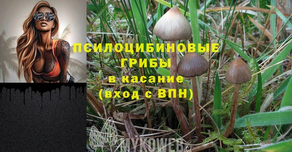 гашик Гусиноозёрск
