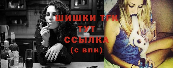тгк Гусь-Хрустальный
