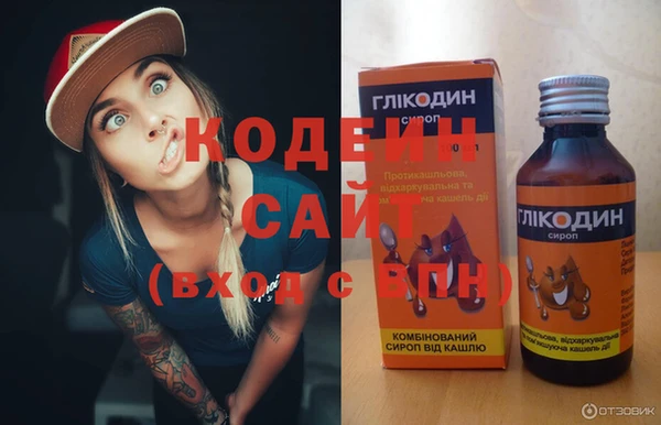 первитин Гусев